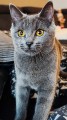 https://www.waibe.fr/sites/delphine59h/medias/images/__HIDDEN__galerie_9/462569814_543619458573577_4576173895508768954_n.jpg