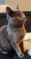 https://www.waibe.fr/sites/delphine59h/medias/images/__HIDDEN__galerie_9/462578714_1521167965268584_3216813415088140483_n.jpg