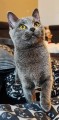 https://www.waibe.fr/sites/delphine59h/medias/images/__HIDDEN__galerie_9/462648925_897663695449873_8401852249499079274_n.jpg