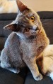 https://www.waibe.fr/sites/delphine59h/medias/images/__HIDDEN__galerie_9/462650062_2057878601329622_2895683402866666780_n.jpg