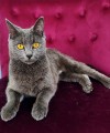 https://www.waibe.fr/sites/delphine59h/medias/images/__HIDDEN__galerie_9/IMG_20250612_172332.jpg