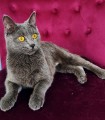 https://www.waibe.fr/sites/delphine59h/medias/images/__HIDDEN__galerie_9/IMG_20250612_172354.jpg
