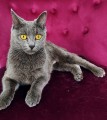 https://www.waibe.fr/sites/delphine59h/medias/images/__HIDDEN__galerie_9/IMG_20250612_172420.jpg