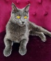https://www.waibe.fr/sites/delphine59h/medias/images/__HIDDEN__galerie_9/IMG_20250612_172442.jpg