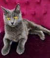https://www.waibe.fr/sites/delphine59h/medias/images/__HIDDEN__galerie_9/IMG_20250612_172505.jpg