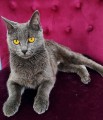 https://www.waibe.fr/sites/delphine59h/medias/images/__HIDDEN__galerie_9/IMG_20250612_172527.jpg