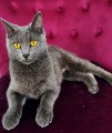 https://www.waibe.fr/sites/delphine59h/medias/images/__HIDDEN__galerie_9/IMG_20250612_172549.jpg