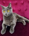 https://www.waibe.fr/sites/delphine59h/medias/images/__HIDDEN__galerie_9/IMG_20250612_172611.jpg