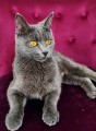 https://www.waibe.fr/sites/delphine59h/medias/images/__HIDDEN__galerie_9/IMG_20250612_172629.jpg