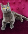 https://www.waibe.fr/sites/delphine59h/medias/images/__HIDDEN__galerie_9/IMG_20250612_172650.jpg