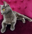 https://www.waibe.fr/sites/delphine59h/medias/images/__HIDDEN__galerie_9/IMG_20250612_172724.jpg