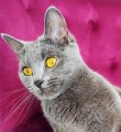 https://www.waibe.fr/sites/delphine59h/medias/images/__HIDDEN__galerie_9/IMG_20250612_172830.jpg