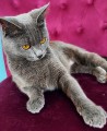 https://www.waibe.fr/sites/delphine59h/medias/images/__HIDDEN__galerie_9/IMG_20250612_172916.jpg