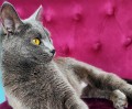 https://www.waibe.fr/sites/delphine59h/medias/images/__HIDDEN__galerie_9/IMG_20250612_172946.jpg