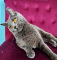https://www.waibe.fr/sites/delphine59h/medias/images/__HIDDEN__galerie_9/IMG_20250612_173011.jpg