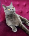 https://www.waibe.fr/sites/delphine59h/medias/images/__HIDDEN__galerie_9/IMG_20250612_173057.jpg