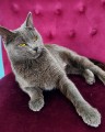 https://www.waibe.fr/sites/delphine59h/medias/images/__HIDDEN__galerie_9/IMG_20250612_173319.jpg