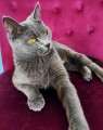 https://www.waibe.fr/sites/delphine59h/medias/images/__HIDDEN__galerie_9/IMG_20250612_173345.jpg