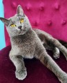 https://www.waibe.fr/sites/delphine59h/medias/images/__HIDDEN__galerie_9/IMG_20250612_173422.jpg