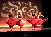 https://www.waibe.fr/sites/ecoleduspectacle/medias/images/__HIDDEN__galerie_2/00218_1_Flamenco.jpg
