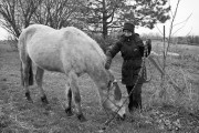 https://www.waibe.fr/sites/egami/medias/images/chevaux/130119_5246_G.jpg