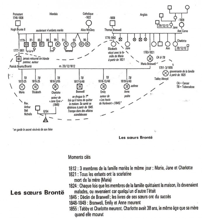 Genosociogramme soeurs bronte