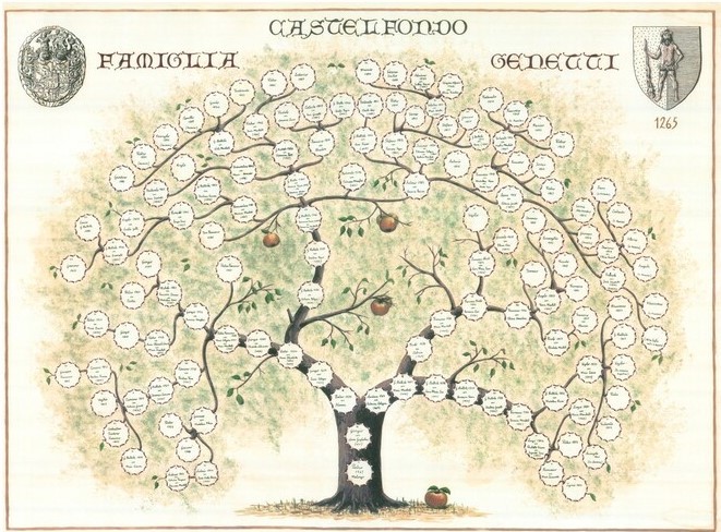 arbre