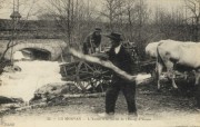 https://www.waibe.fr/sites/flotescale/medias/images/galerie/livre_38.jpg