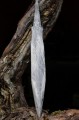 https://www.waibe.fr/sites/forgeron/medias/images/PN-Forgeron_211_04-09-10_raw.jpg