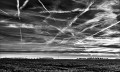 https://www.waibe.fr/sites/francipaq/medias/images/__HIDDEN__galerie_44/20241129-L2000581-b_BW_copie_2000.jpg