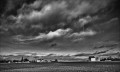 https://www.waibe.fr/sites/francipaq/medias/images/__HIDDEN__galerie_44/20241215-L2000596-b_BW_cpopie_2000.jpg
