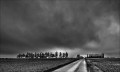 https://www.waibe.fr/sites/francipaq/medias/images/__HIDDEN__galerie_44/20241215-L2000597-b_BW_copie_2000.jpg