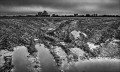 https://www.waibe.fr/sites/francipaq/medias/images/__HIDDEN__galerie_44/20241215-L2000599-b_BW_copie_2000.jpg