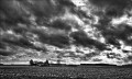 https://www.waibe.fr/sites/francipaq/medias/images/__HIDDEN__galerie_44/20241218-L2000602-b_BW_copie_2000.jpg