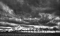 https://www.waibe.fr/sites/francipaq/medias/images/__HIDDEN__galerie_44/20250109-L2000642-b_BW_copie_2000.jpg