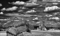 https://www.waibe.fr/sites/francipaq/medias/images/__HIDDEN__galerie_44/20250416-L1000161_b_BW_copie_1500.jpg