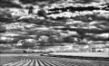https://www.waibe.fr/sites/francipaq/medias/images/__HIDDEN__galerie_44/20250417-L1000178-Modifier_b_BW_copie_1500.jpg