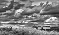 https://www.waibe.fr/sites/francipaq/medias/images/__HIDDEN__galerie_44/20250422-L1000223_b_BW_copie_1500.jpg
