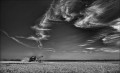 https://www.waibe.fr/sites/francipaq/medias/images/__HIDDEN__galerie_44/20250704-L2000925-b_BW_copie_1500.jpg