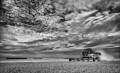 https://www.waibe.fr/sites/francipaq/medias/images/__HIDDEN__galerie_44/20250705-L2000951-b_BW_copie_1500.jpg