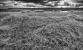 https://www.waibe.fr/sites/francipaq/medias/images/__HIDDEN__galerie_44/20250707-L2000961-b_BW_copie_1500.jpg