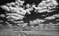 https://www.waibe.fr/sites/francipaq/medias/images/__HIDDEN__galerie_44/20250708-L2000967-b_BW_copie_1500.jpg