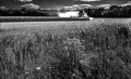 https://www.waibe.fr/sites/francipaq/medias/images/__HIDDEN__galerie_44/20250710-L2000977-b_BW_copie_1500.jpg