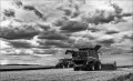 https://www.waibe.fr/sites/francipaq/medias/images/__HIDDEN__galerie_44/20250715-L1000515-b_BW_recadre_copie_1500.jpg