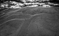 https://www.waibe.fr/sites/francipaq/medias/images/__HIDDEN__galerie_44/20250717-L2000999-b_BW_copie_1500.jpg