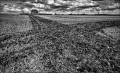 https://www.waibe.fr/sites/francipaq/medias/images/__HIDDEN__galerie_44/20250719-L2001011-b_BW_copie_1500.jpg