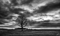 https://www.waibe.fr/sites/francipaq/medias/images/__HIDDEN__galerie_44/20260101-L4002115-b_BW_copie_2500.jpg