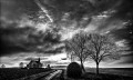 https://www.waibe.fr/sites/francipaq/medias/images/__HIDDEN__galerie_44/20260117-L4002177-b_BW_copie_2500.jpg