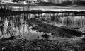 https://www.waibe.fr/sites/francipaq/medias/images/__HIDDEN__galerie_44/20260124-L4002226-b_BW_copie_2500.jpg