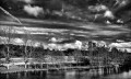 https://www.waibe.fr/sites/francipaq/medias/images/__HIDDEN__galerie_44/20260209-L4002279-b_BW_copie_2500.jpg
